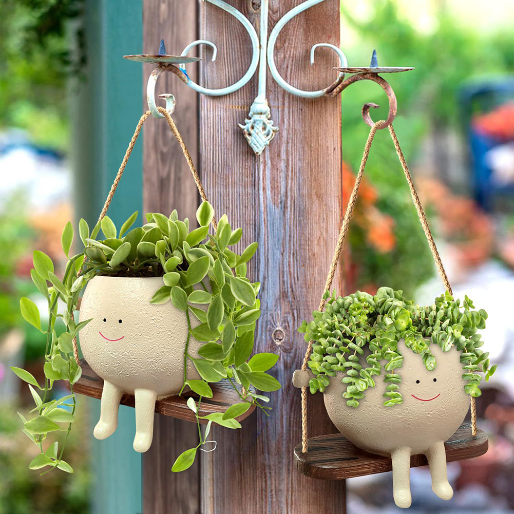 Plant Hanger Baskets Lovely Sw - огляд і ціна Echeveria Succulent