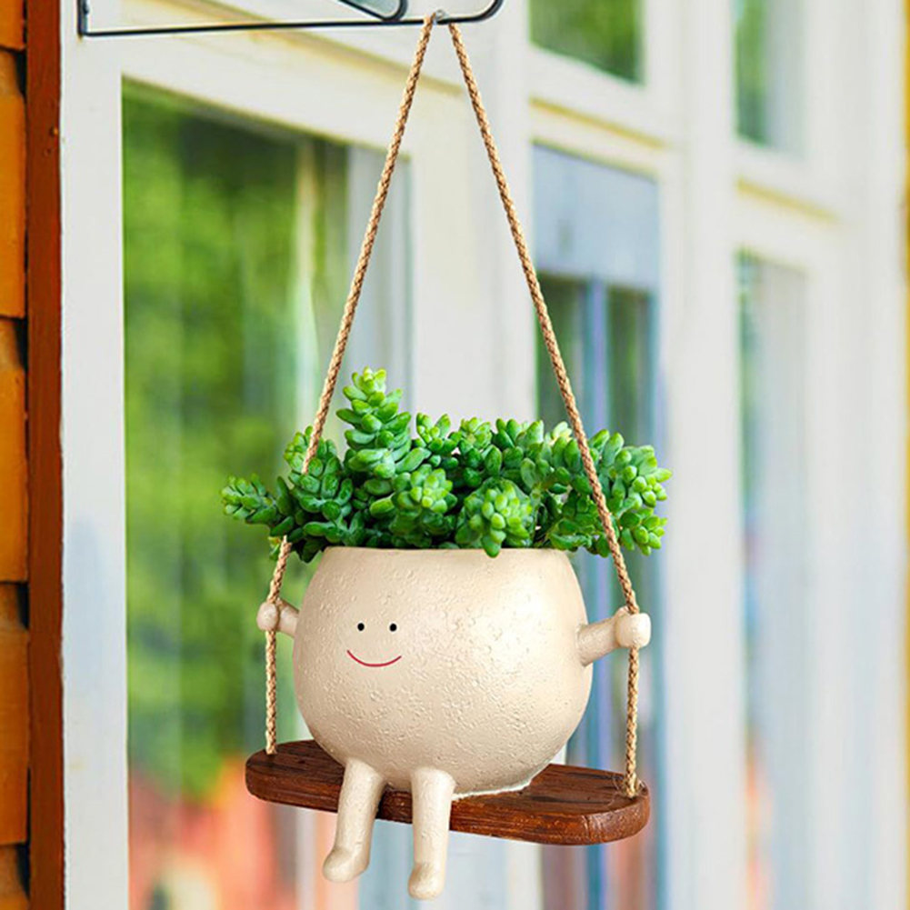 Plant Hanger Baskets Lovely Sw - огляд і ціна Echeveria Succulent