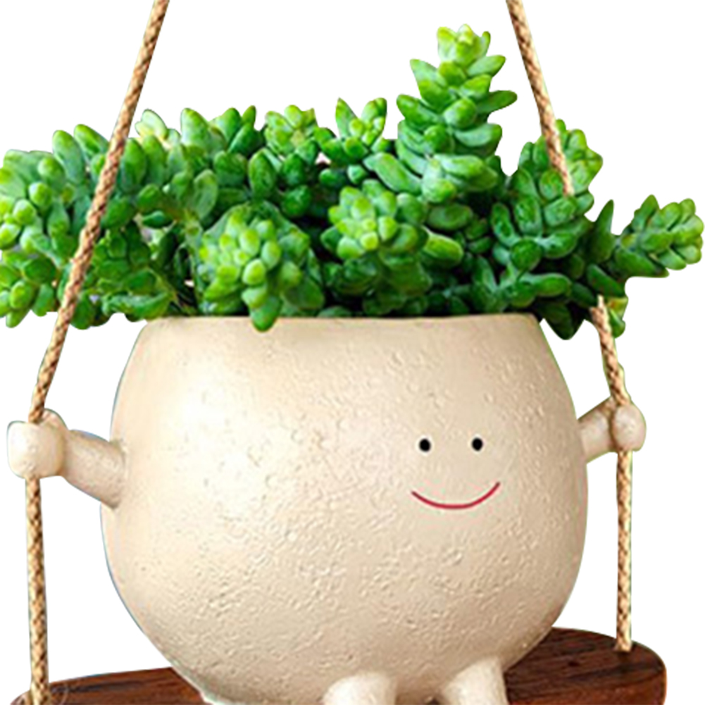 Plant Hanger Baskets Lovely Sw - огляд і ціна Echeveria Succulent