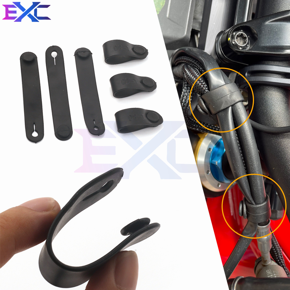 For Ducati Monster Multistrada - огляд і ціна Monstera Adansonii