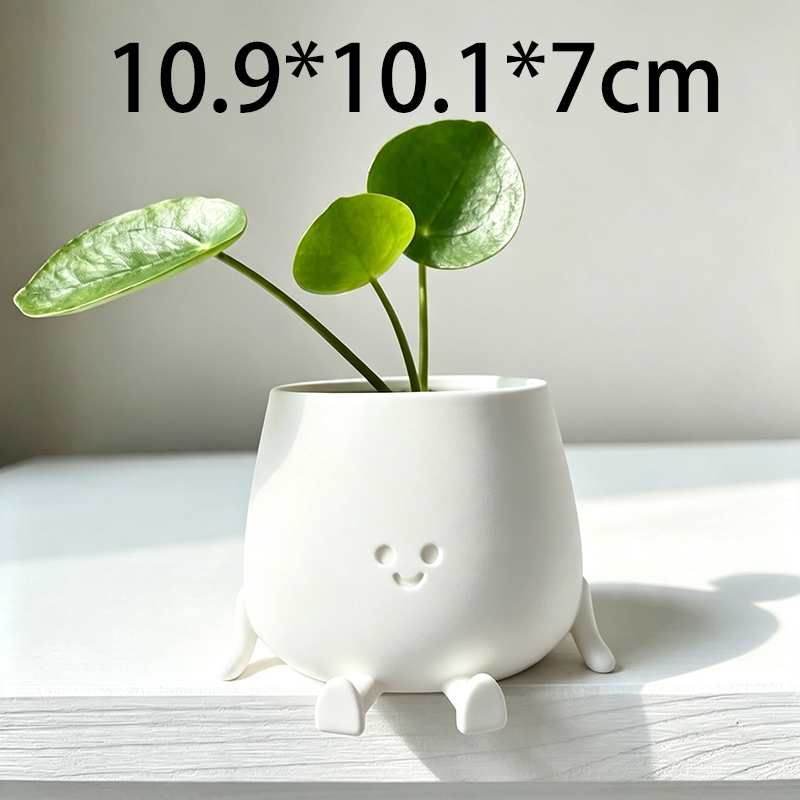 3D Printed Cute Smiley Face Pl - огляд і ціна Echeveria Succulent