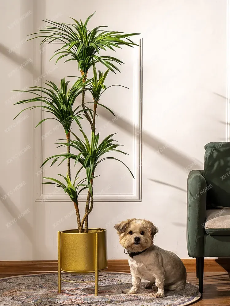 Simulation Colorful Ponytail I - огляд і ціна Dracaena Marginata
