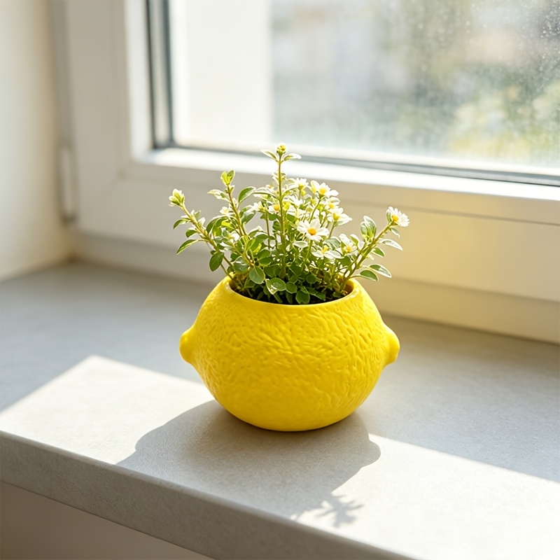 Lemon Shape Decorative Planter - огляд і ціна Echeveria Succulent