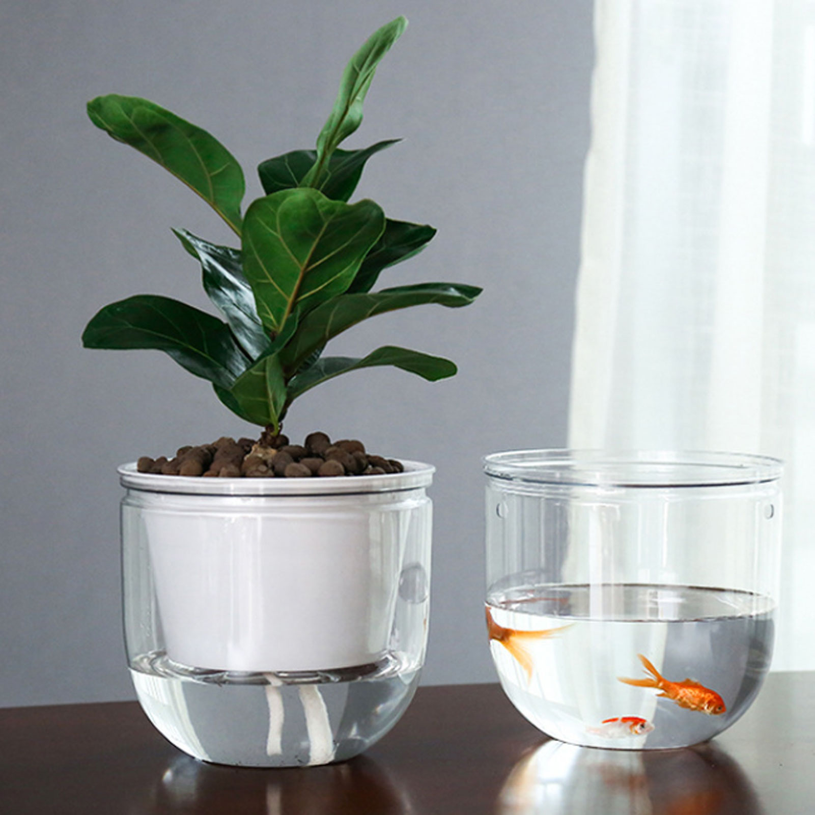 Automatic Self Watering Plant  - огляд і ціна Spider Plant Hanging
