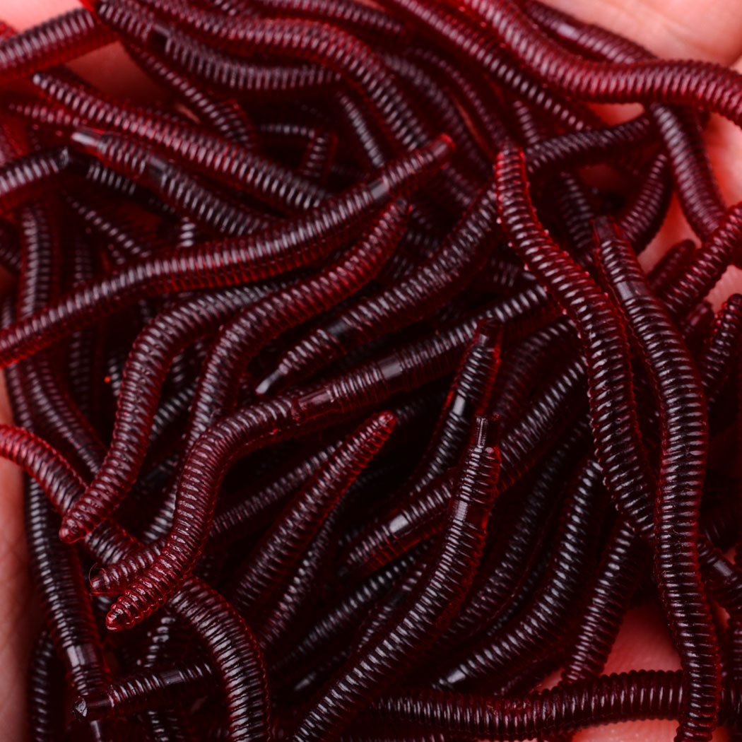 50pcs Lifelike Red Worm Soft L - огляд і ціна Aglaonema Red