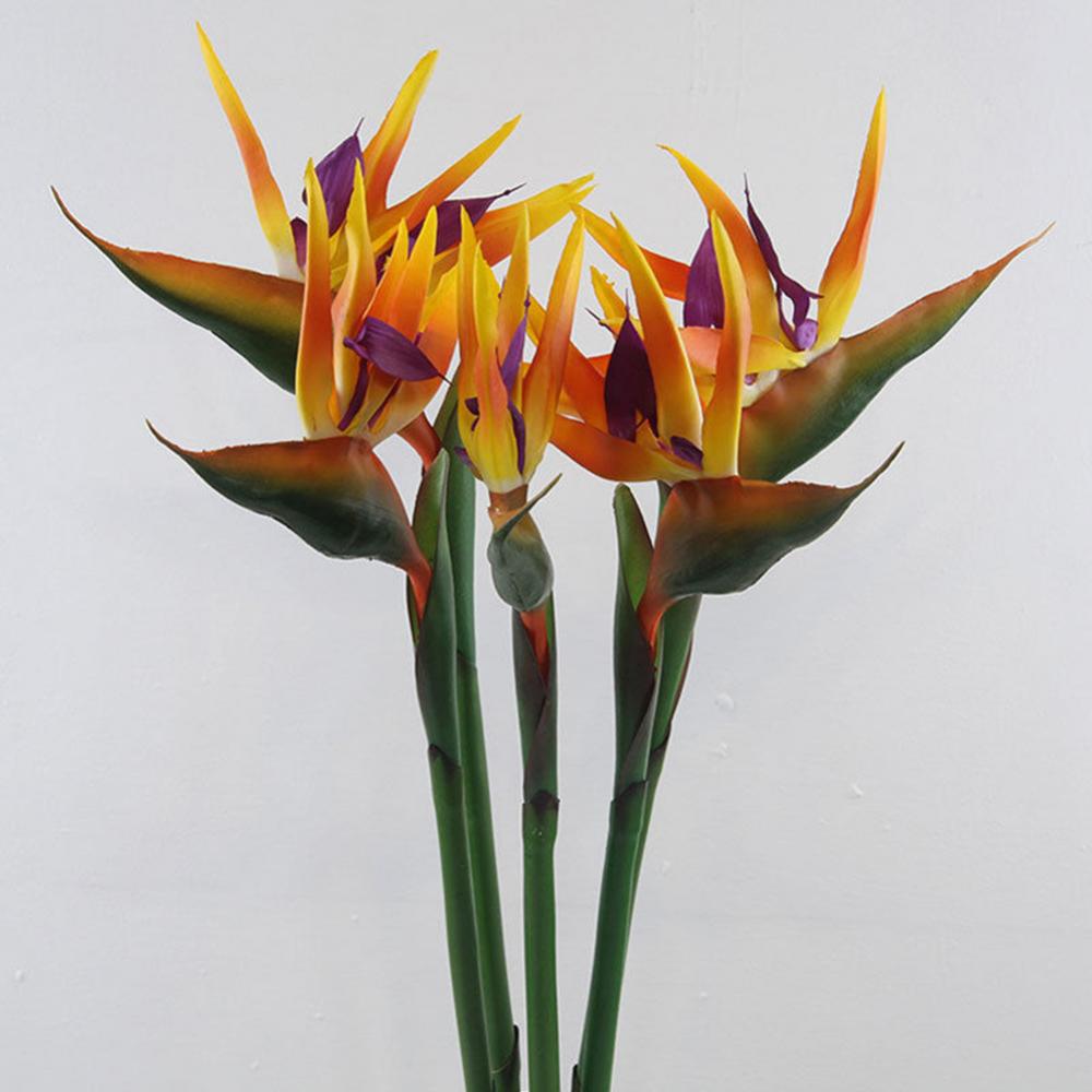 1pc 80cm Flower Bird Of Paradi - огляд і ціна Bird Paradise Strelitzia