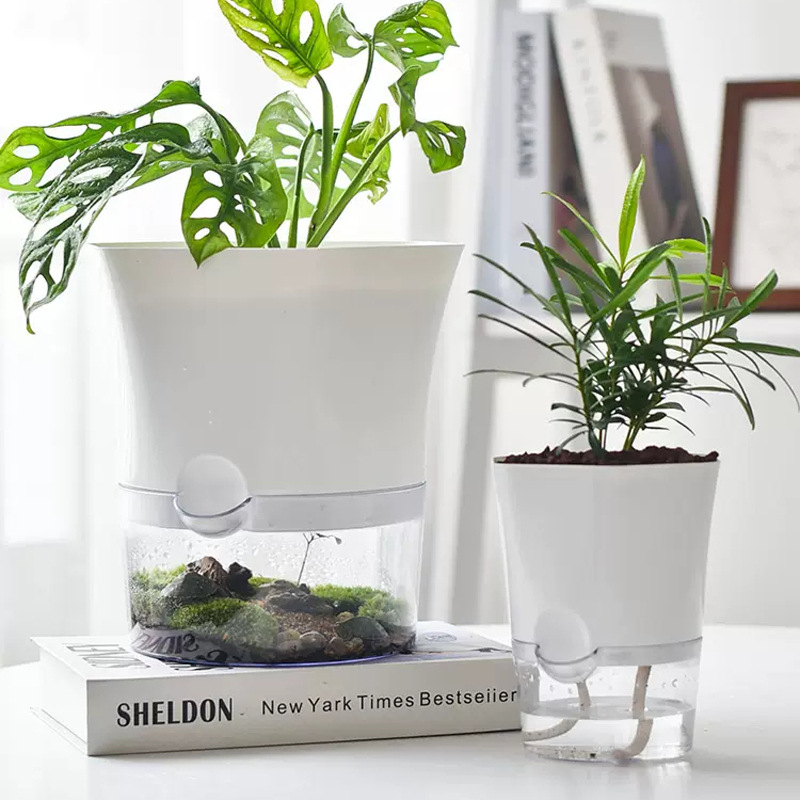Transparent Plastic Self Water - огляд і ціна Aloe Vera Pot