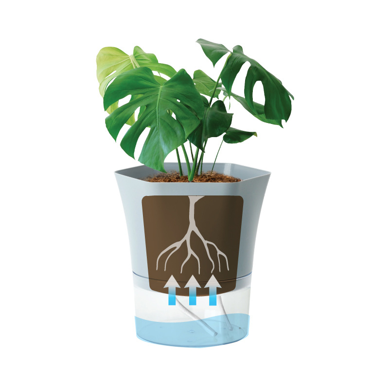 Transparent Plastic Self Water - огляд і ціна Aloe Vera Pot