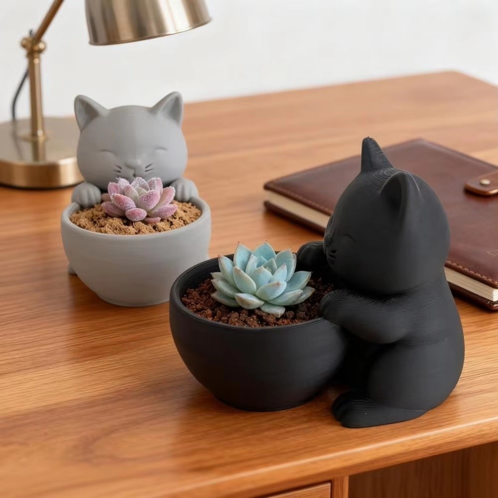Mini Small Flowerpot with Drai - огляд і ціна Echeveria Succulent